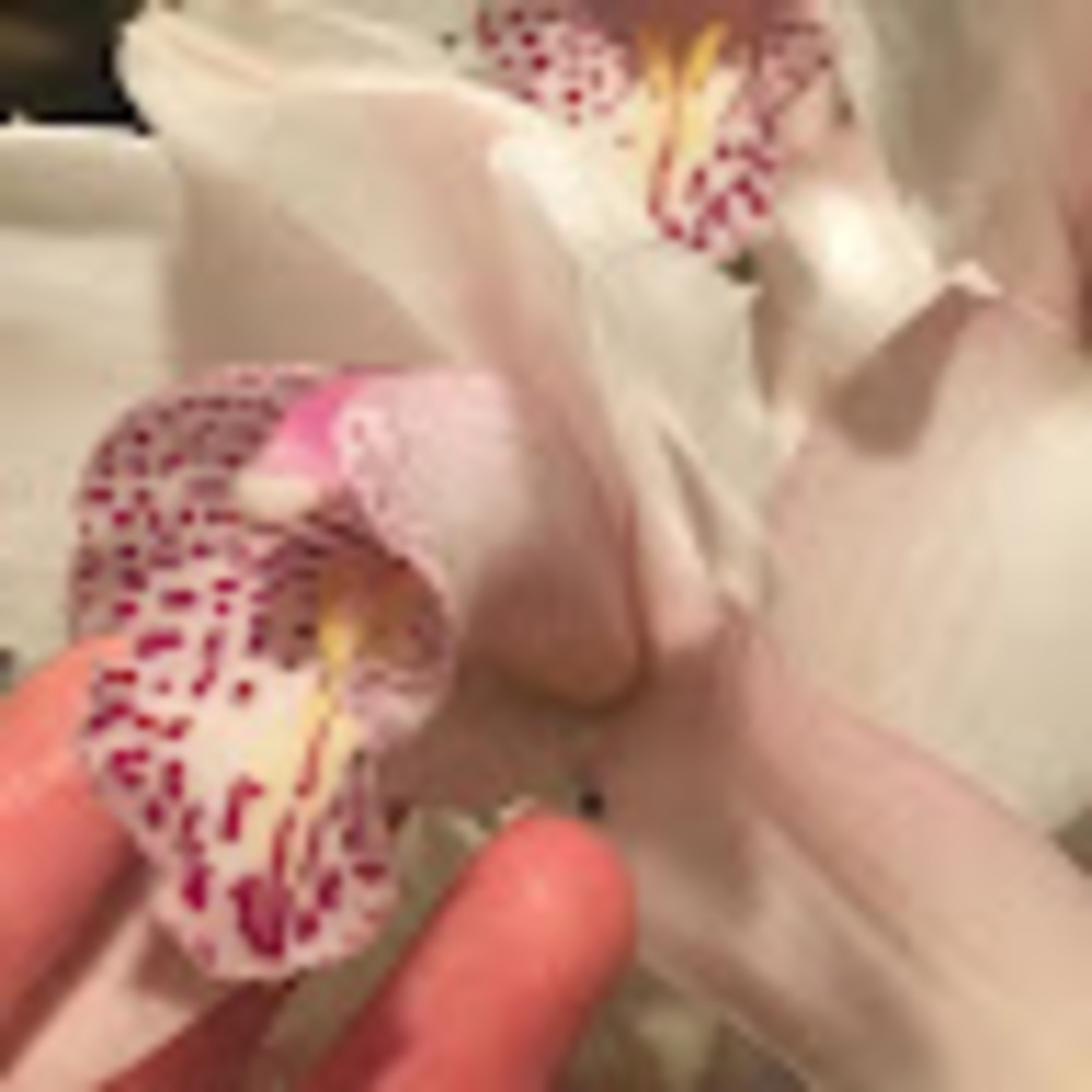 Meet your Posher, Kate